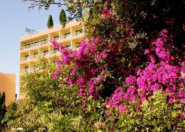 Castel Vecchio Hotel Ajaccio (Corsica)